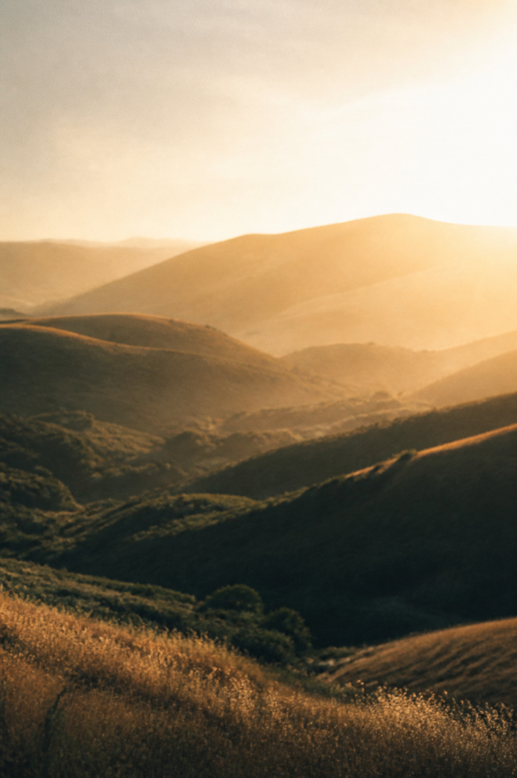 Warme hügelige Landschaft im Abendlicht